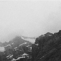Of All The Wild Paths