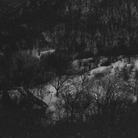 Of All The Wild Paths