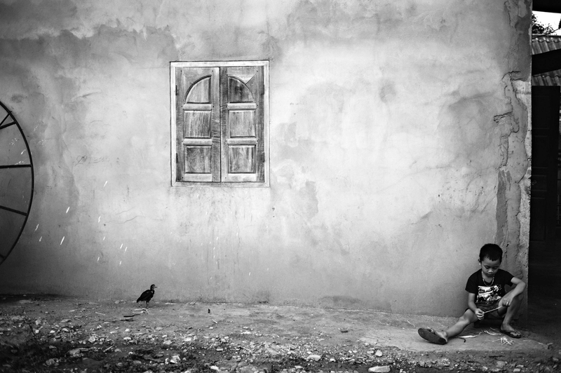 Boy and bird