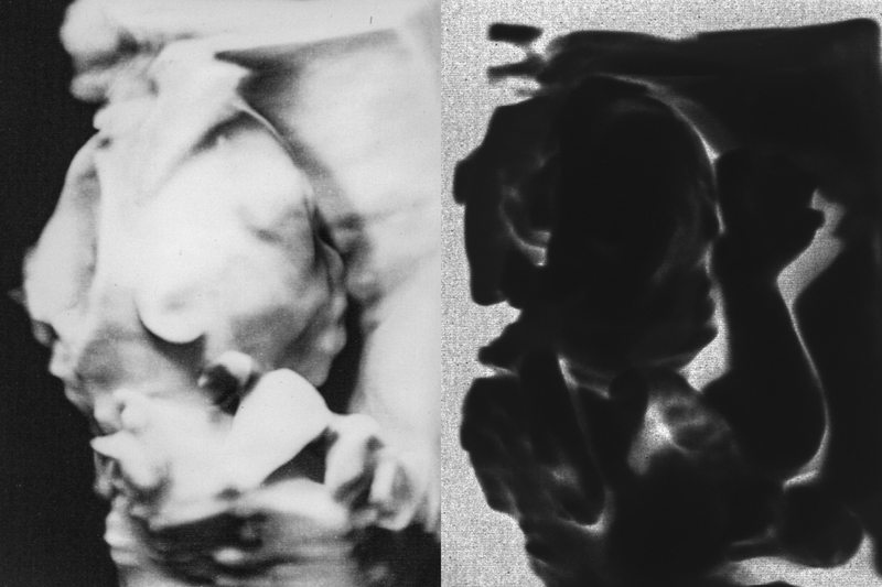 echo, frame, flux