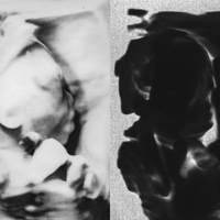 echo, frame, flux