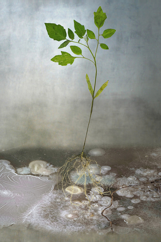 The World Beneath Our Feet. 