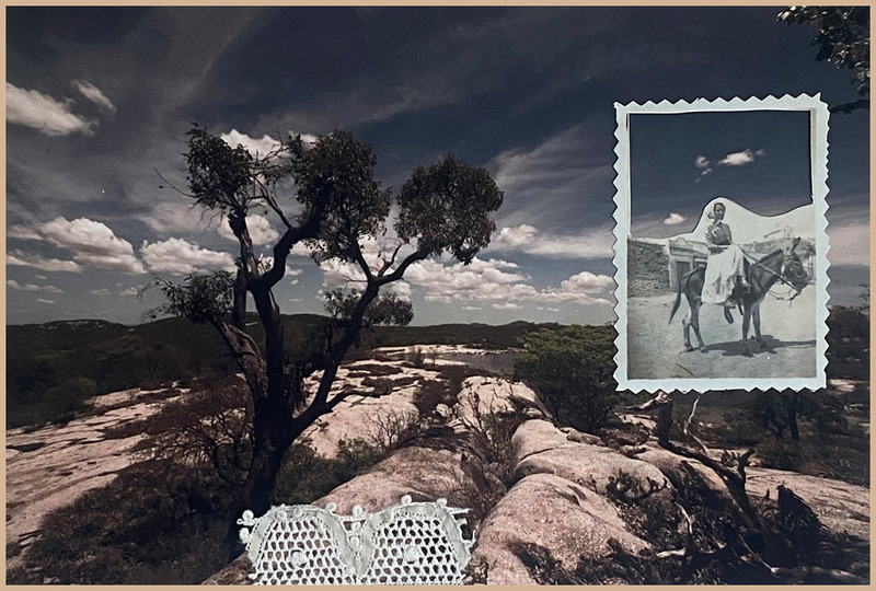 Chão de Histórias (Ground of Stories)