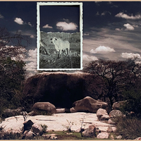 Chão de Histórias (Ground of Stories)