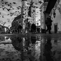 A fleeting moment