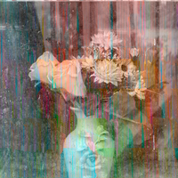 Flora Perpétua