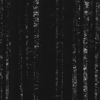 Hidden Depths 