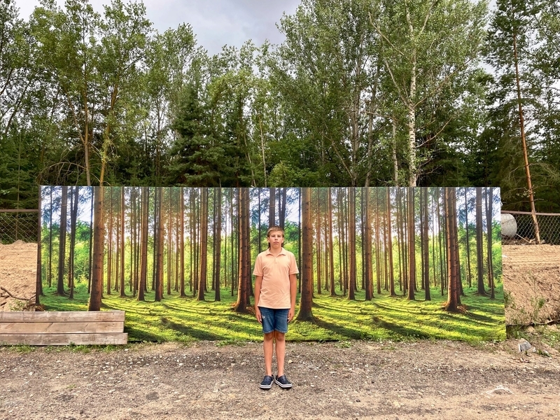 The Garden of Dreams 