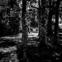 Mal da Amazônia