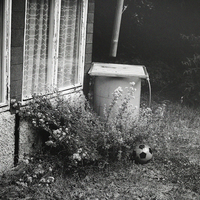 The Waste Land of Mine 