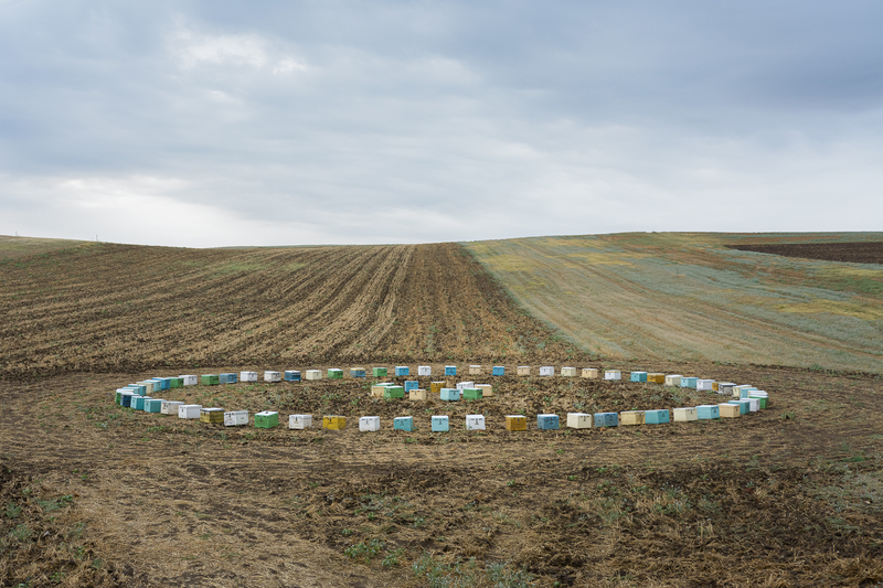 Stories from the Plain