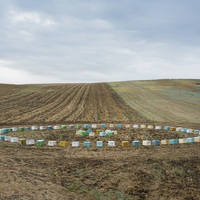 Stories from the Plain