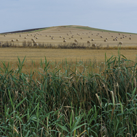 Stories from the Plain
