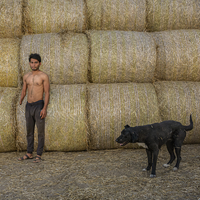 Stories from the Plain