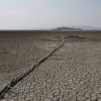Stories from the Plain
