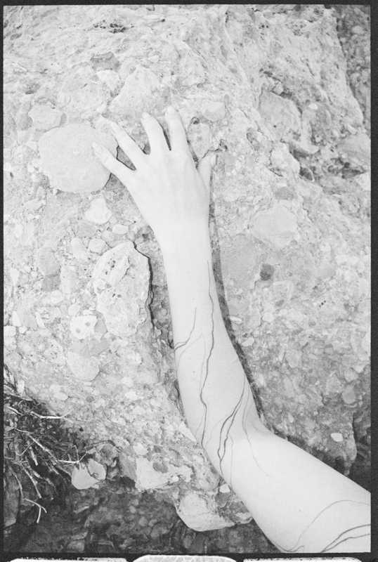 Rooted Pulse