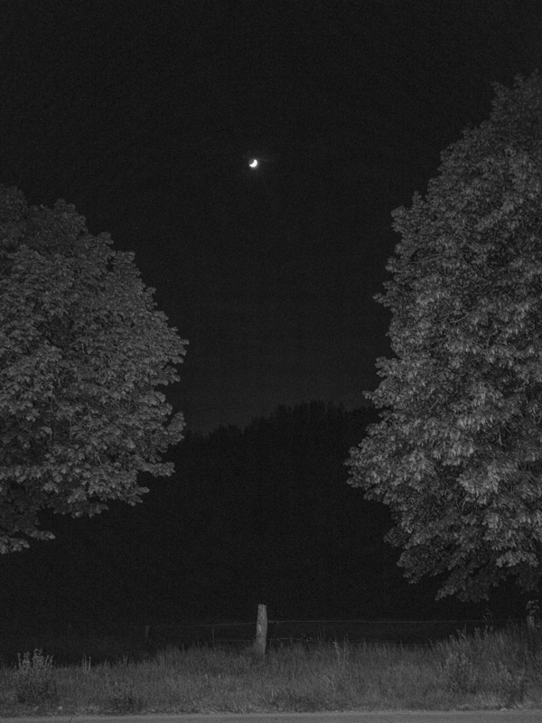 The Promised Night