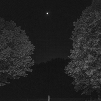 The Promised Night