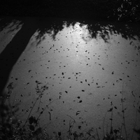 The Promised Night