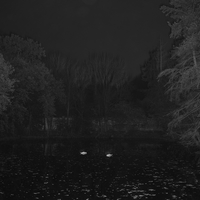 The Promised Night