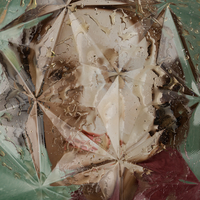 Wilting