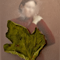 Wilting