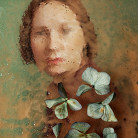 Wilting