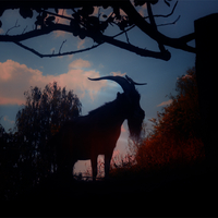Reigning toward Aries
