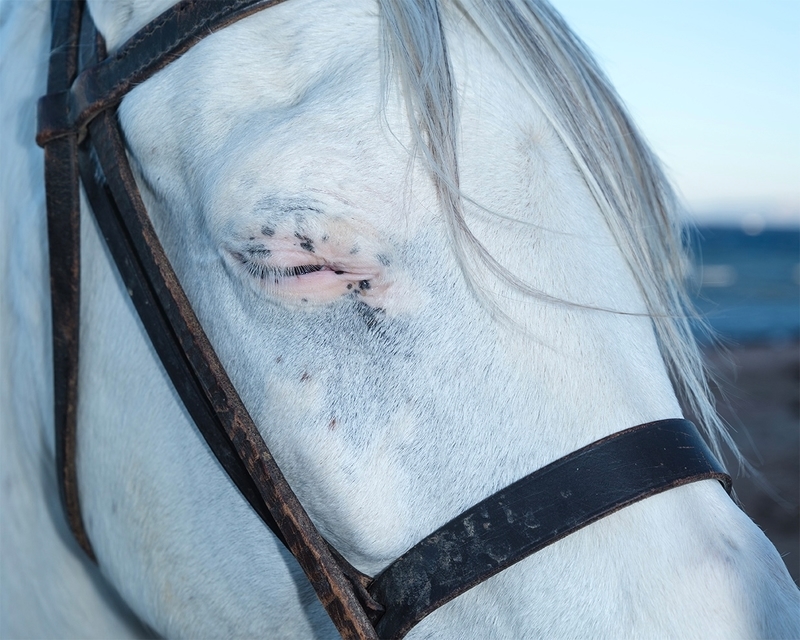 It’s in Their Eyes