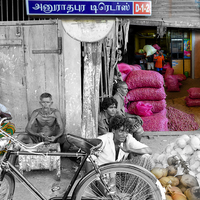Sri Lanka 1983 and 2018, dialogue with the past