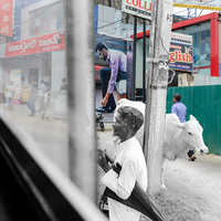 Sri Lanka 1983 and 2018, dialogue with the past