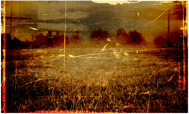 Meadow