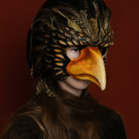 The bird in the head