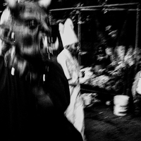 Life and Death - Mexican Rhapsody