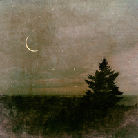 Lilian Day Thorpe: Photomontage Artist