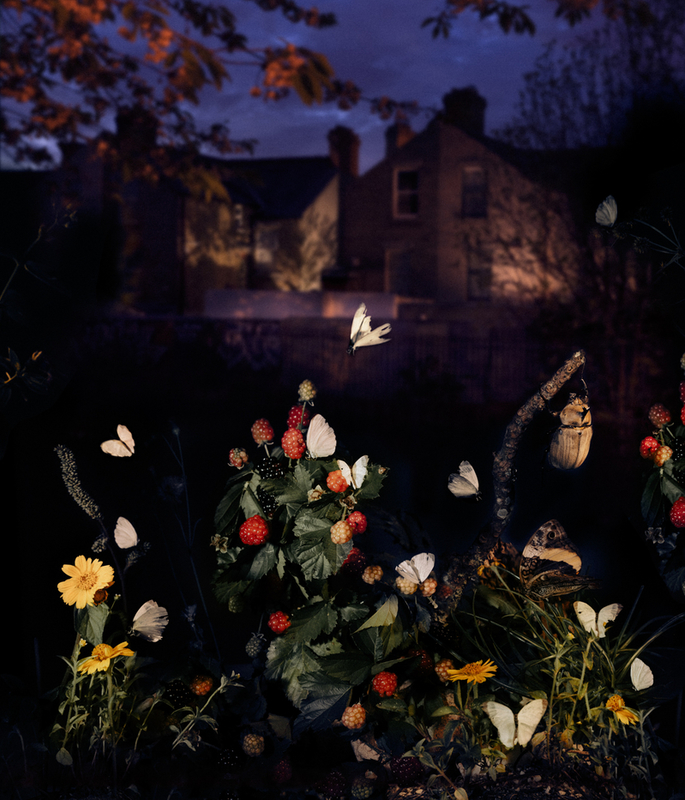 Reverie Park