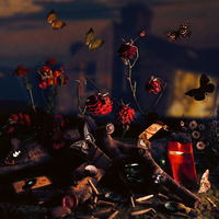 Reverie Park