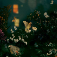 Reverie Park