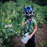 My Summer with Optimus Prime