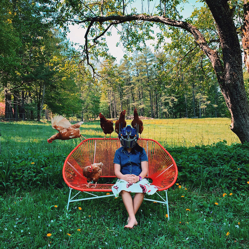 Chicken Farmer, My Summer with Optimus Prime
