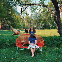 Chicken Farmer, My Summer with Optimus Prime