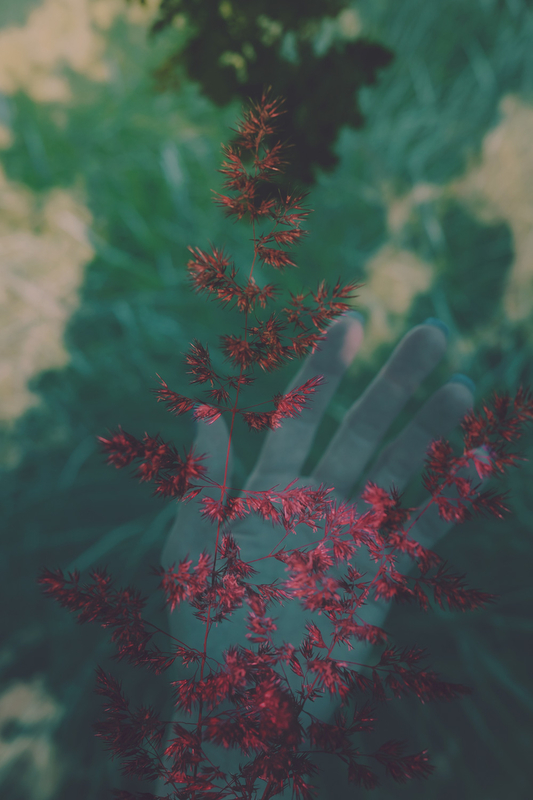 Silk Wallpaper
