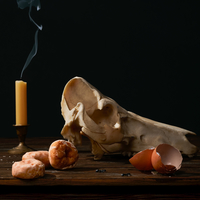 Modern Vanitas