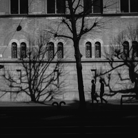 The shadow