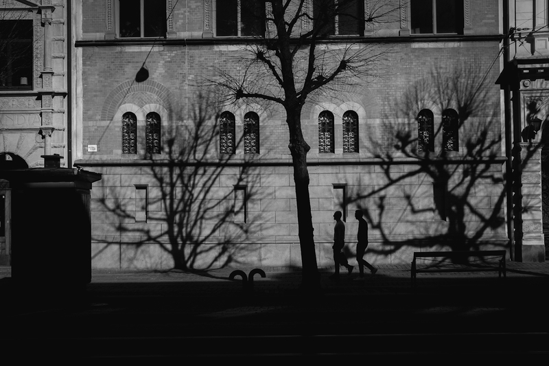 The shadow