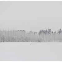 Arctic Visions