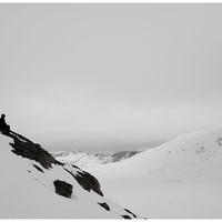 Arctic Visions