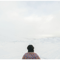Arctic Visions
