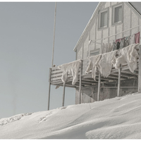 Arctic Visions