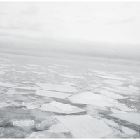 Arctic Visions